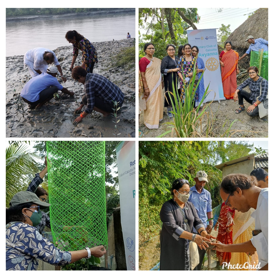 Environment Project at Bali island,Sundarbans