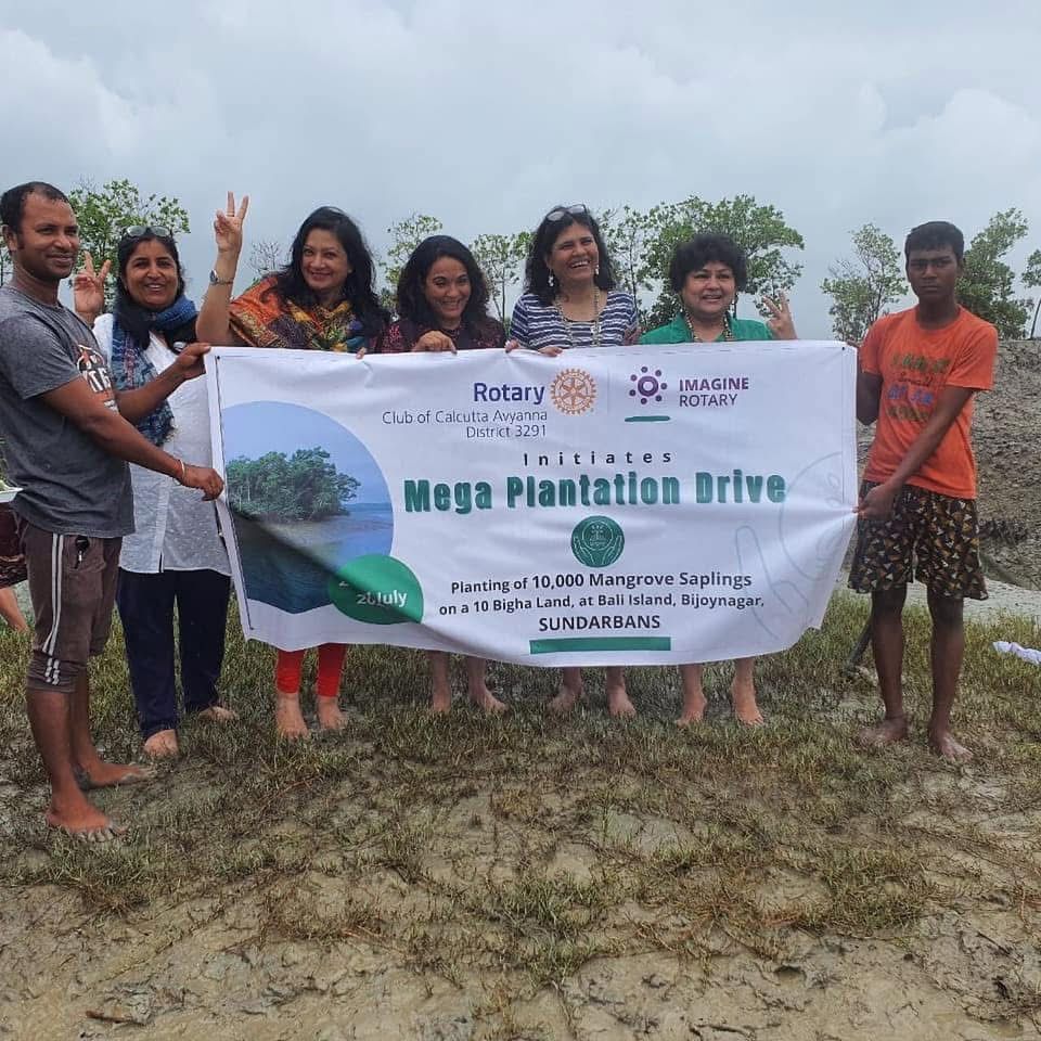 Trees Planted in the Sundarbans